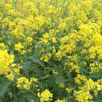 B57f283709e3d3e97e9f7ab15e87e19167185012