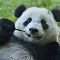 6da3e77b74a4fa557e830bdd6448b4167c080358