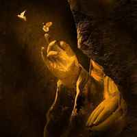 5ad0059d59717981b41fac8e3e4fe943bbcff112