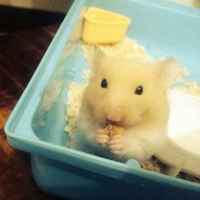 01cac1d96c58666bdb852f295ce20996963014e7