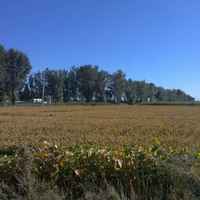 080e9a39efbff623c2e8a794ccb9ca41913d5760