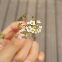 01a78373cd022028bed39b1999921d0ba0e07eb2