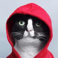 7230f6e31e8382266d666cfddf721df9ca2c4740