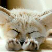 3d802db6a22b57010814ac917bab4ff0061d1624