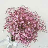 B0d0b91b750c690c8a4b3f78f61fc242e1facc2f