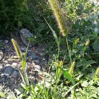 7938557d11c290cd6d21a46d8ba98c48972237d1