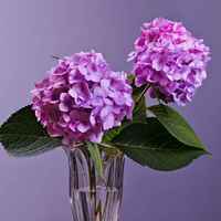 1835b0bf91e4dd9ed57f2eb17fa9786257ce2959