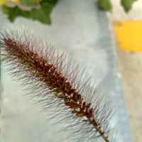 Bd337dd934e46647c19929bf9a6467eda397daf3