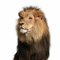 E0dae4e4219106fd30f8990bdc5dd8063a9a1943