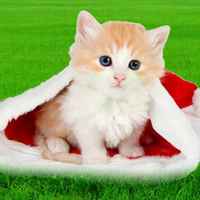 54b02904dce1d0603f0741a1a18388a95a822625