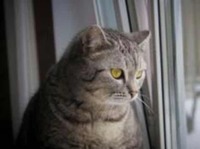 4b0d79a35cc2deab15dcd9c82611a7247499a08d