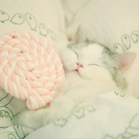 A7ef6de6d5df6d3eb479bff43ab063d13518dad2