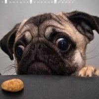 15f8c38319fb90f8f21e75dfd35ed5dcdbd89cff