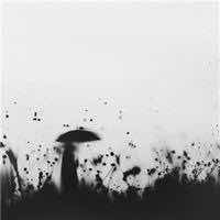 Cc4d50d046cf49c2cc96d14c411bd40397a00e08