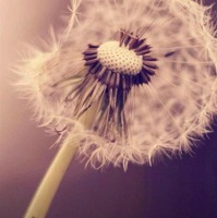 2bb37ea22992b2debcce1d1e411628f648e98596