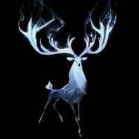 31ce74ab1933a4e3dd709fa0e7a4e7e52b4b19f6