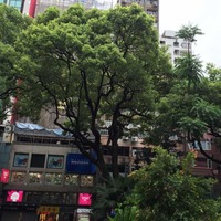 1aef745948e4fc6fbfa24b42a00ae0569d916131