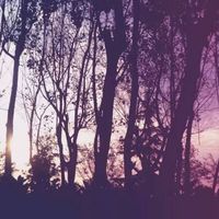 2f235ae66fc5bbd7c43e7f12d3ad5a23c5126f4d