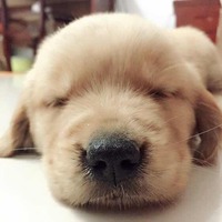 Ecbfe7c80d61836872d09ced7f84943f178d33f2