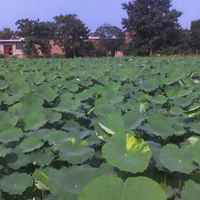 C444a47bd9f2daba200c0c16a4541c4ac40c42fa