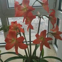 69700a427221b1b33b5e426e13ea413bf8957c34