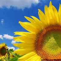 14fe8c2c9223b8515f949d881641952381ddd0e1