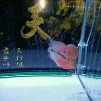 1ff8225ddc5631fcdbb91d44639c1ee4c37bfb1e