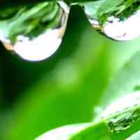 249dca2572a4fe34cdf2aafd16fe51caf5a86af4