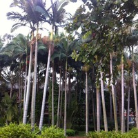 3706c3bcf005f3f52e2f303677510c7a675f1122