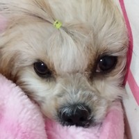 6f9de61357183444c65ca364f679336317d0e429