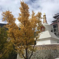 2e597564aa37679447fe82fa35cdf9a081f762a4