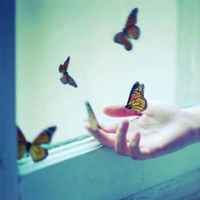 19dc7865b308b7a8dd3d42262a756aa94d6dde63