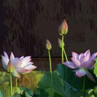 73278375fdafa1b8767df8850eea8efabbbda843