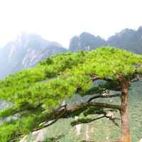 9125a43060417a340f00515be3b081aacc114e3f