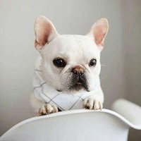 580b10026f019f39d32af65a1068ed0b2cc8b9ae