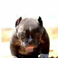 0b52ab4cadf0114d2bd9375027545365ac2d301e