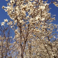 D3c528af7308f804817d3e1b6ccde8671b10f06e