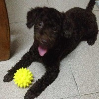 96982e5a7a2d282ff33abe206879df9042e53cb2