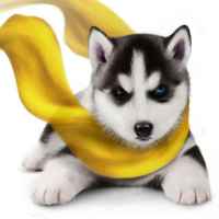 93446d4192727fe7d82b670f829e9a521f6580b0