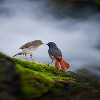 F9c79f89f8f3c6a173c058e815aed7af2920857e