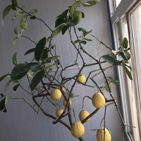 Ba9c668b427806c6ca85365d6179b811161dfa0e