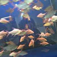 D000c2945677a738ca5ebac11e444b6a022231a6