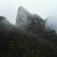 Da9db67992c209e7ab3c97958992a9de6c54c7c0