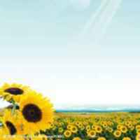 A96c3a2cb0779150e05a84c8685f38ad886ff96f