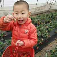 30abb78fd05685ab0f012230a107ee8ec87d2ef1