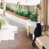 458cfb6c7a11e05c61ac0b96572d304dea205344