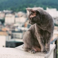 A083d0bf9ee3463bcc5d6387f2e176eb4423b918