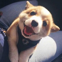 371ad99a56dbc854e6ffbb06f942c24a92ebfcff