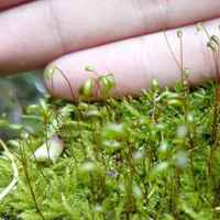 Fc4e7fa595ecd0bc7f25f0c7f2eadb7abf352b37