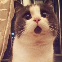 14dc907229b29c511db1ae7567bdb819f85d675b